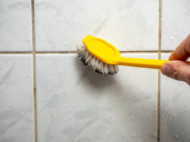 Best Black Mold Remediation in Pheasant Run, OH